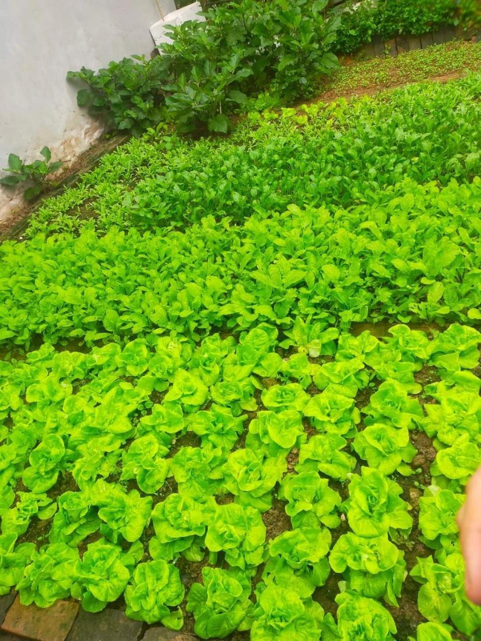 ホテル La Giang Garden バンメトート エクステリア 写真